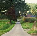 Toeristische rondrit op 29-9-2012 (41)